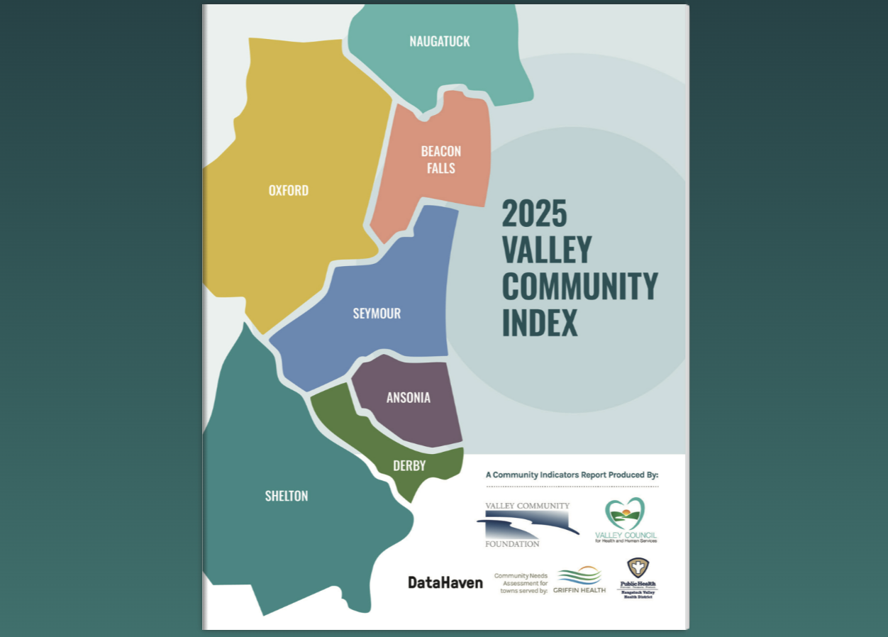 Valley Index 2025 cover thumbnail