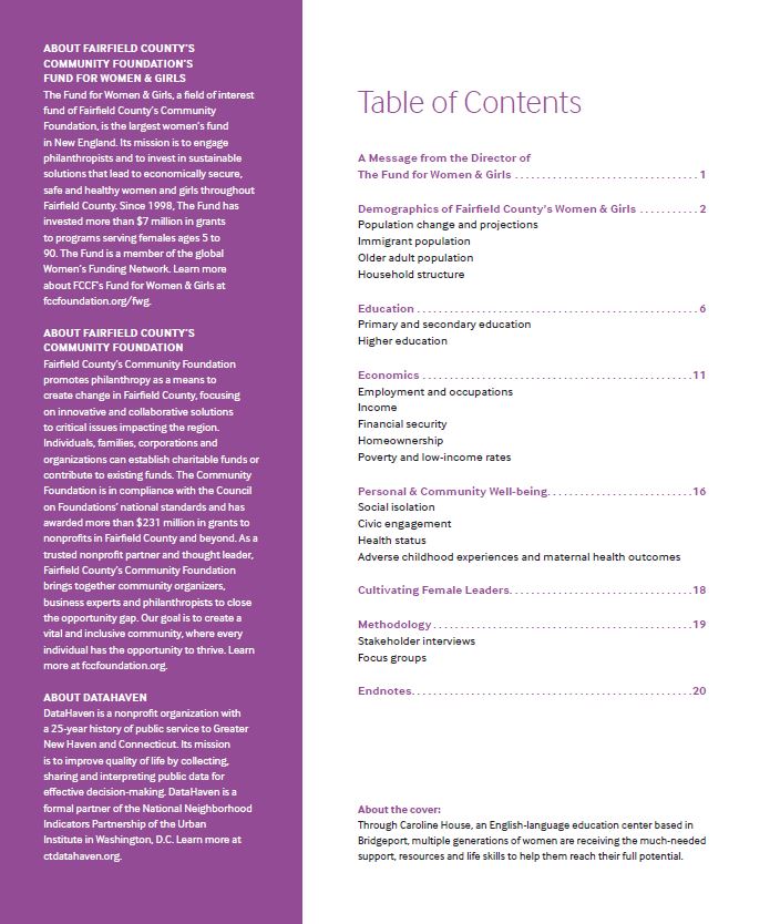 page excerpt from CT data report by DataHaven on gender equity