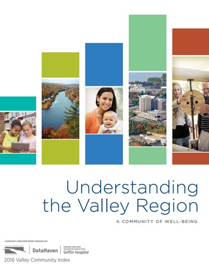 Valley Community Index 2016 cover image
